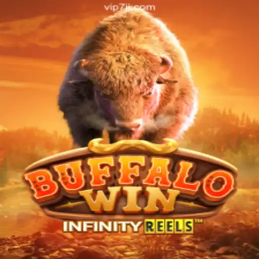 BuffaloWin: Dive into Excitement and Fun Daily