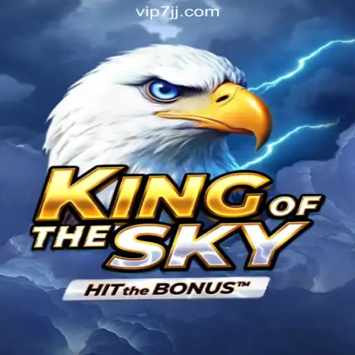 KingOfTheSky: A Thrilling Journey Through the Skies